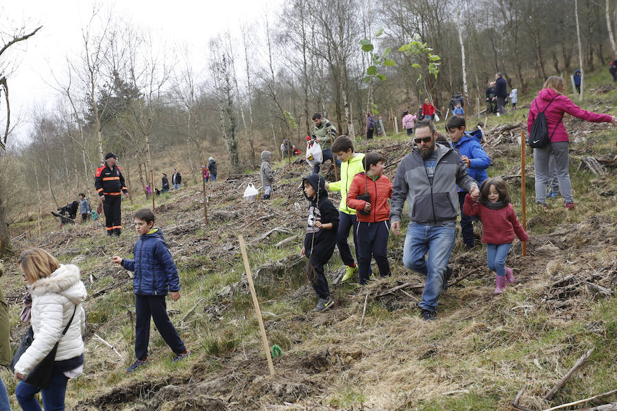 Fotos: El día de los Bosques trae nuevos árboles para el Monte Deva