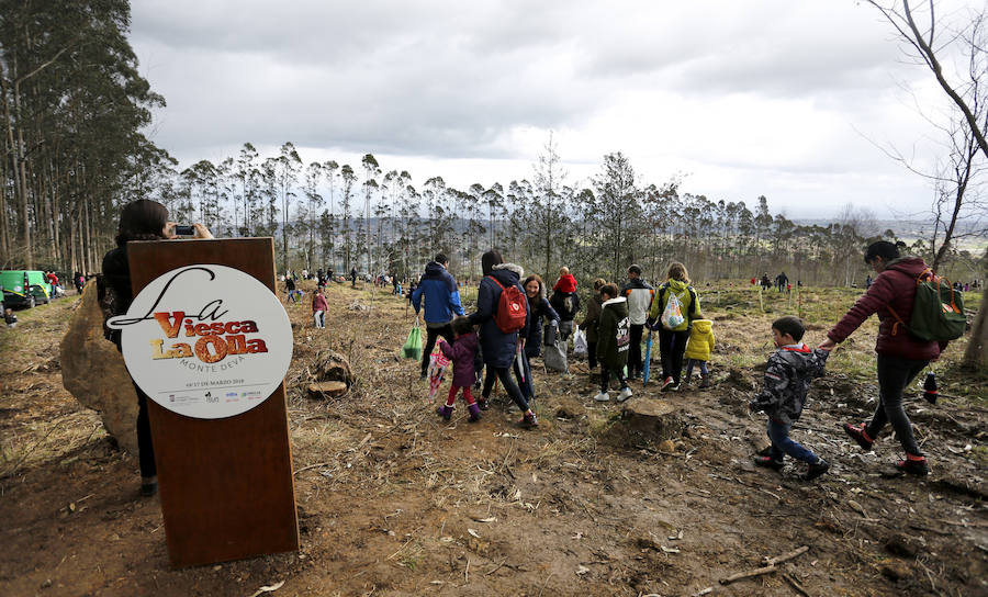 Fotos: El día de los Bosques trae nuevos árboles para el Monte Deva