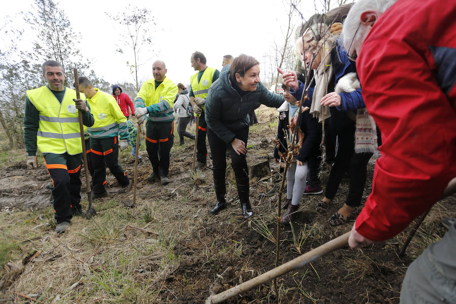 Fotos: El día de los Bosques trae nuevos árboles para el Monte Deva