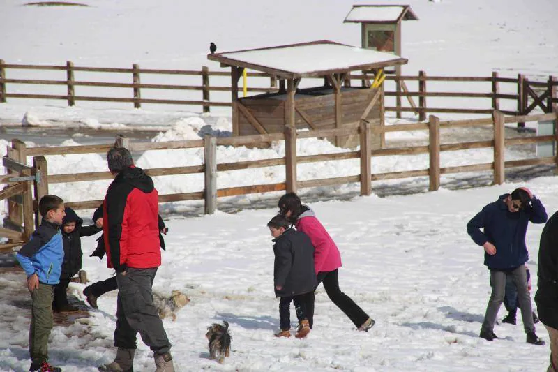 Fotos: Fin de semana de nieve en los Lagos