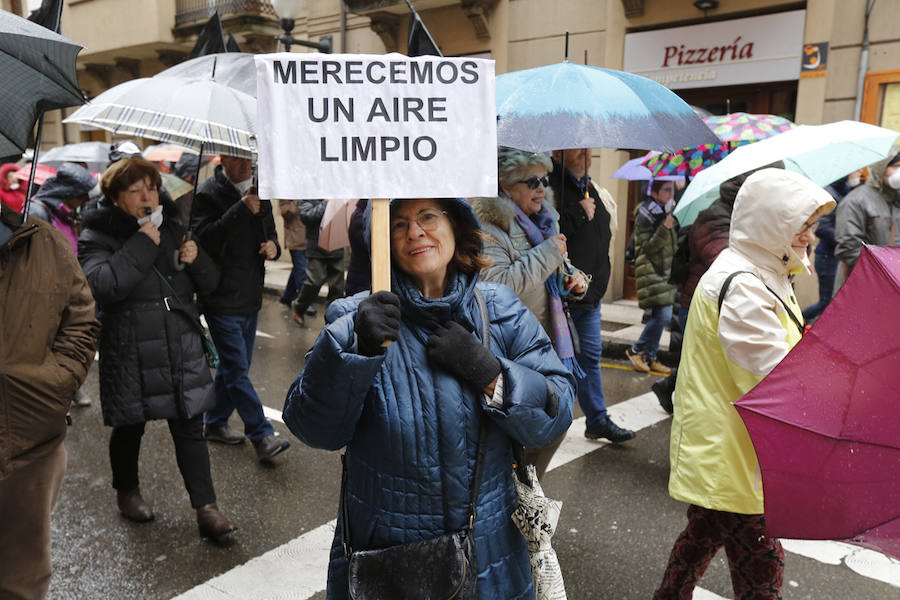 Fotos: Miles de personas se concentra en Gijón contra la contaminación en Asturias