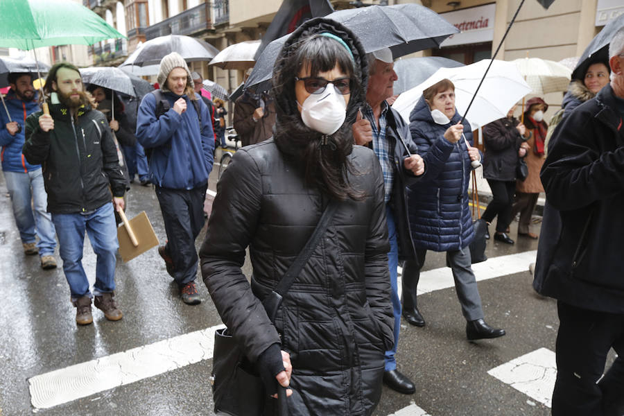 Fotos: Miles de personas se concentra en Gijón contra la contaminación en Asturias