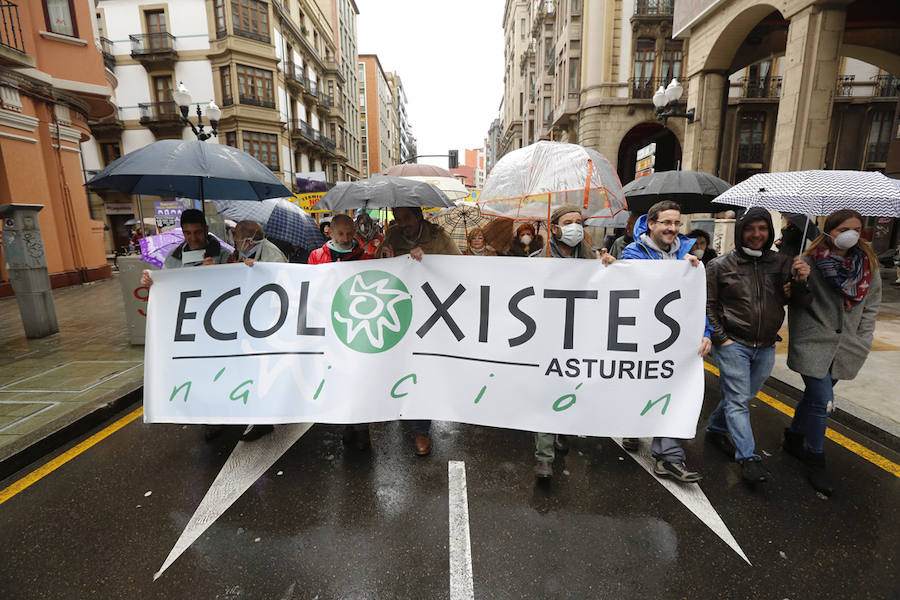 Fotos: Miles de personas se concentra en Gijón contra la contaminación en Asturias