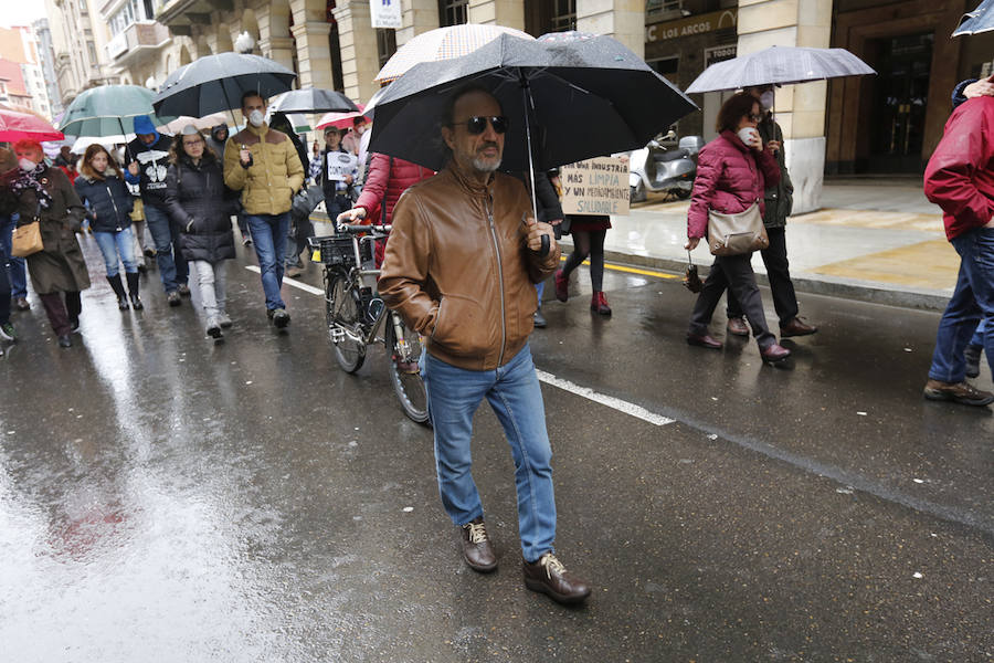 Fotos: Miles de personas se concentra en Gijón contra la contaminación en Asturias