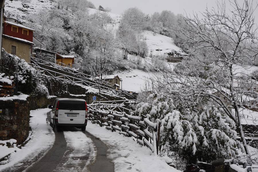 Un temporal de nieve cubre Asturias de blanco a pocas horas de la llegada de la primavera. La comarca de Picos de Europa se encuentra en alerta roja por nevadas que pueden dejar espesores de hasta cuarenta centímetros, mientras que en Suroccidente y Valles Mineros se esperan acumulaciones cercanas a los veinte centímetros.