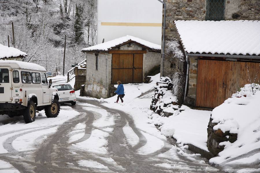 Un temporal de nieve cubre Asturias de blanco a pocas horas de la llegada de la primavera. La comarca de Picos de Europa se encuentra en alerta roja por nevadas que pueden dejar espesores de hasta cuarenta centímetros, mientras que en Suroccidente y Valles Mineros se esperan acumulaciones cercanas a los veinte centímetros.