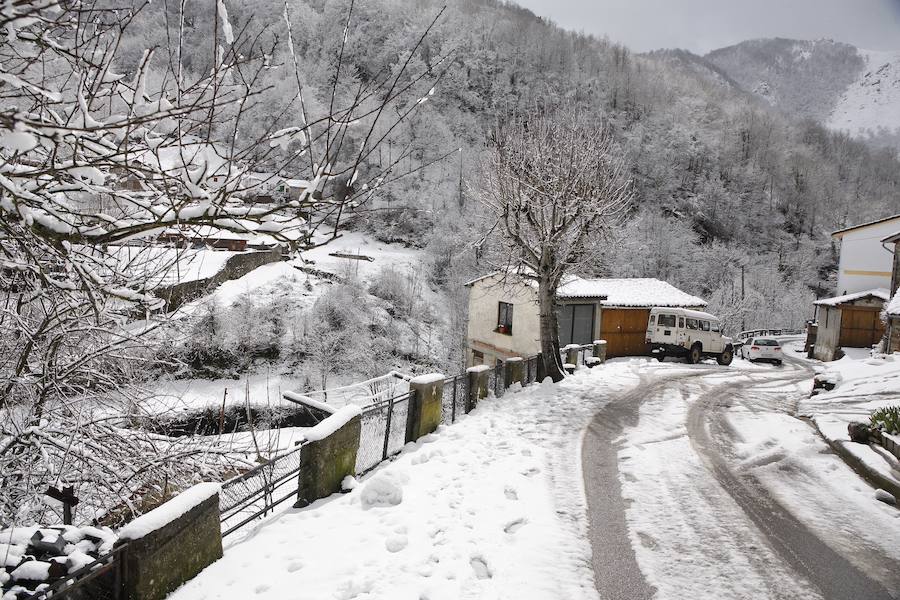 Un temporal de nieve cubre Asturias de blanco a pocas horas de la llegada de la primavera. La comarca de Picos de Europa se encuentra en alerta roja por nevadas que pueden dejar espesores de hasta cuarenta centímetros, mientras que en Suroccidente y Valles Mineros se esperan acumulaciones cercanas a los veinte centímetros.