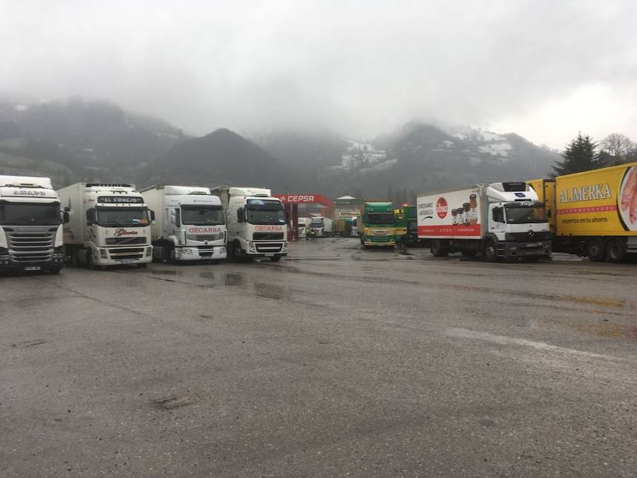 A pocas horas para la llegada de la primavera, gran parte de Asturias está cubierta por un manto blanco. La nieve complica la circulación en muchas carreteras. Incluso en la autopista del Huerna, que ha estado cerrada a camiones durante varias horas.