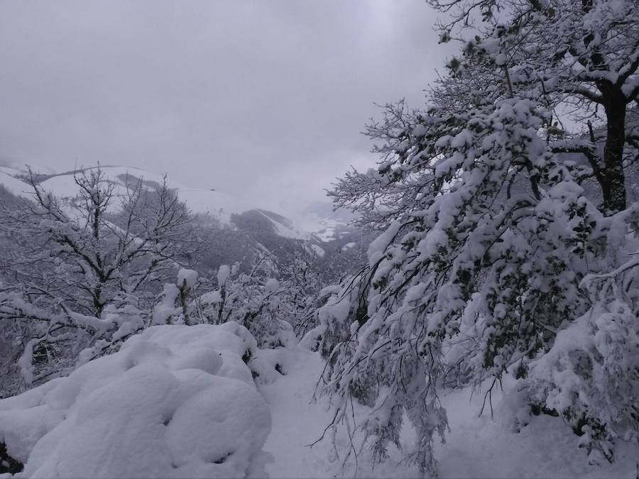 A pocas horas para la llegada de la primavera, gran parte de Asturias está cubierta por un manto blanco. La nieve complica la circulación en muchas carreteras. Incluso en la autopista del Huerna, que ha estado cerrada a camiones durante varias horas.