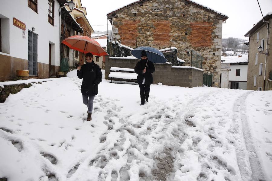 A pocas horas para la llegada de la primavera, gran parte de Asturias está cubierta por un manto blanco. La nieve complica la circulación en muchas carreteras. Incluso en la autopista del Huerna, que ha estado cerrada a camiones durante varias horas. Donde no nieva, la lluvia y el frío son protagonsitas de la jornada. 
