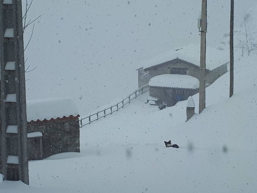 Fotos: Medio metro de nieve en los pueblos del Oriente asturiano