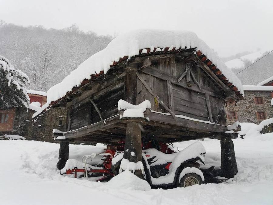 Fotos: Medio metro de nieve en los pueblos del Oriente asturiano