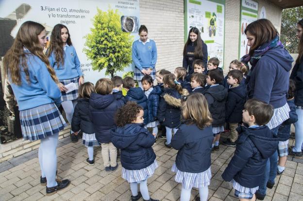 Celebración del Día del Árbol en el San Fernando. 