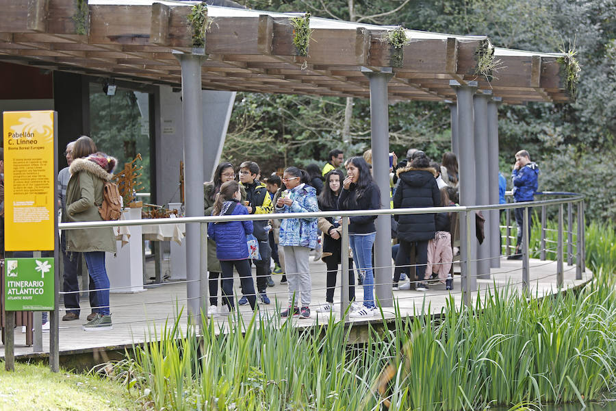 Fotos: Día Mundial del Agua en el Botánico