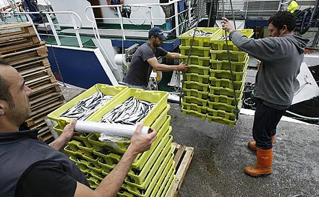 La flota pesquera tendrá cuotas personalizadas a partir de 2019