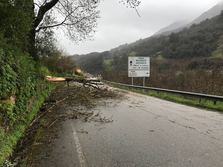 Nieve, viento, lluvia y oleaje. La borrasca 'Hugo' azota Asturias, que registra problemas en las comunicaciones de montaña y daños en infraestructuras como el espigón de Cudillero, que ha quedado destrozado.