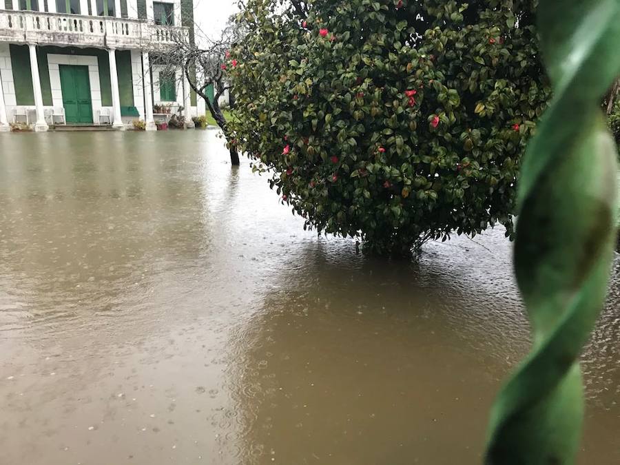 Las intensas y constantes lluvias de este domingo han ocasionado inundaciones en varios puntos del Principado, que ha activado el nivel de prealerta en fase 2