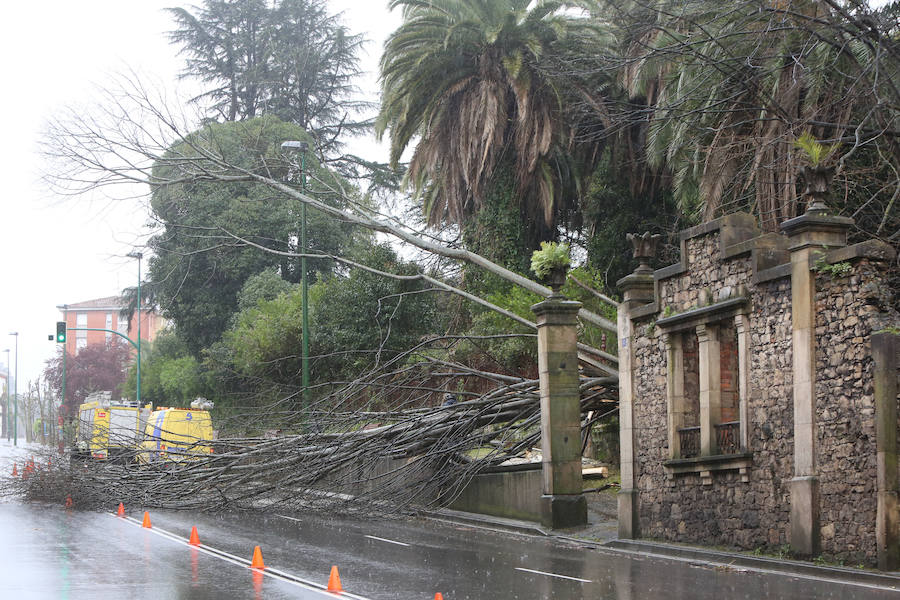 Las intensas y constantes lluvias de este domingo han ocasionado inundaciones en varios puntos del Principado, que ha activado el nivel de prealerta en fase 2