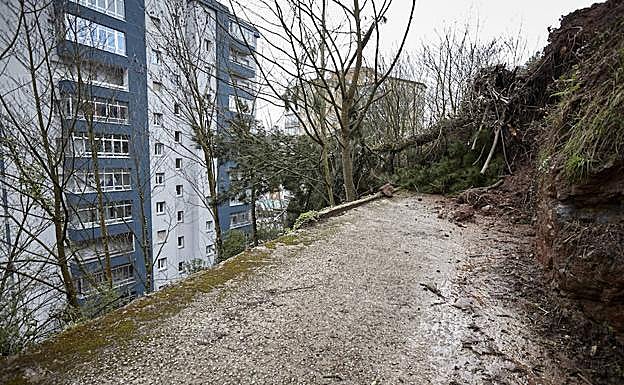 Estado del argayo esta mañana en Salinas. 
