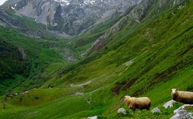 Un paisaje asturiano, elegido 'El rincón más bonito de la Red Natura 2000'
