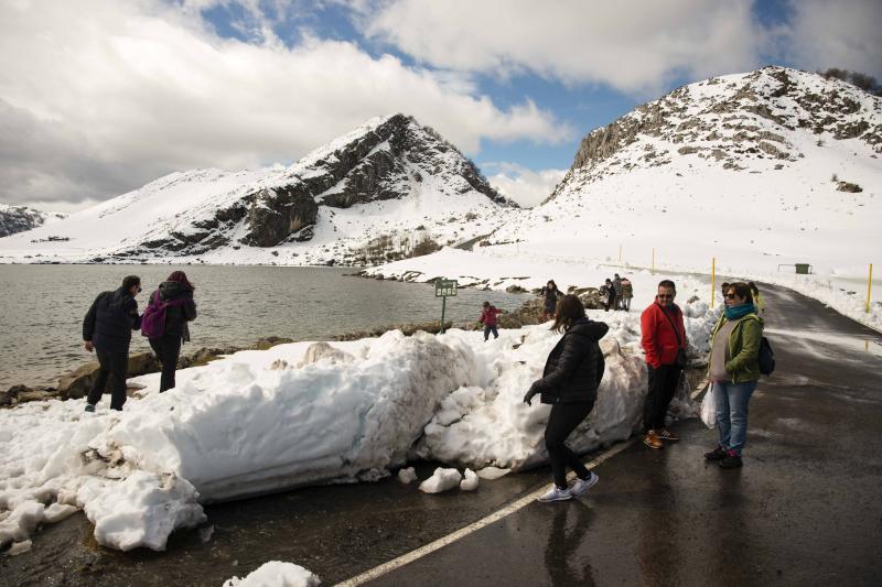 La preciosa estampa que ofrece estos días el paraje protegido atrae a multitud de turistas y provoca colas