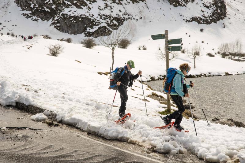 La preciosa estampa que ofrece estos días el paraje protegido atrae a multitud de turistas y provoca colas