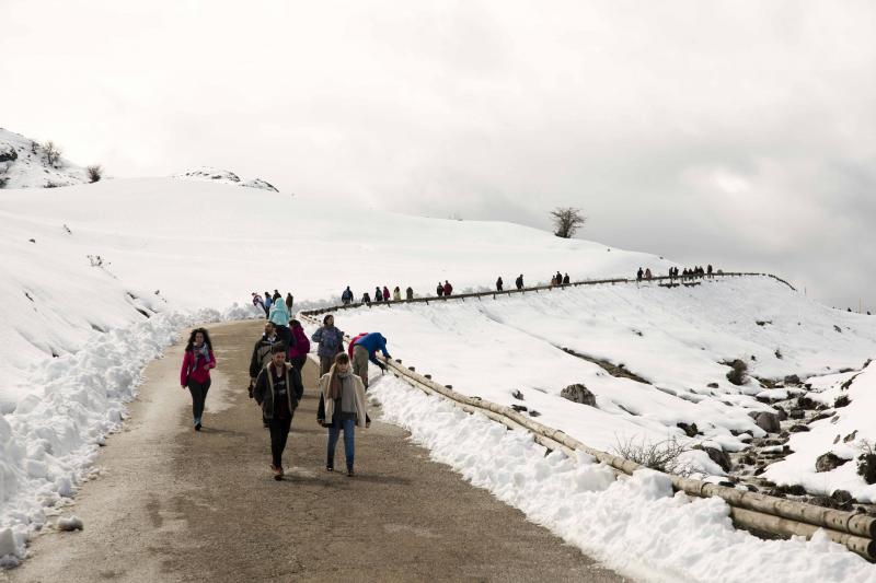 La preciosa estampa que ofrece estos días el paraje protegido atrae a multitud de turistas y provoca colas