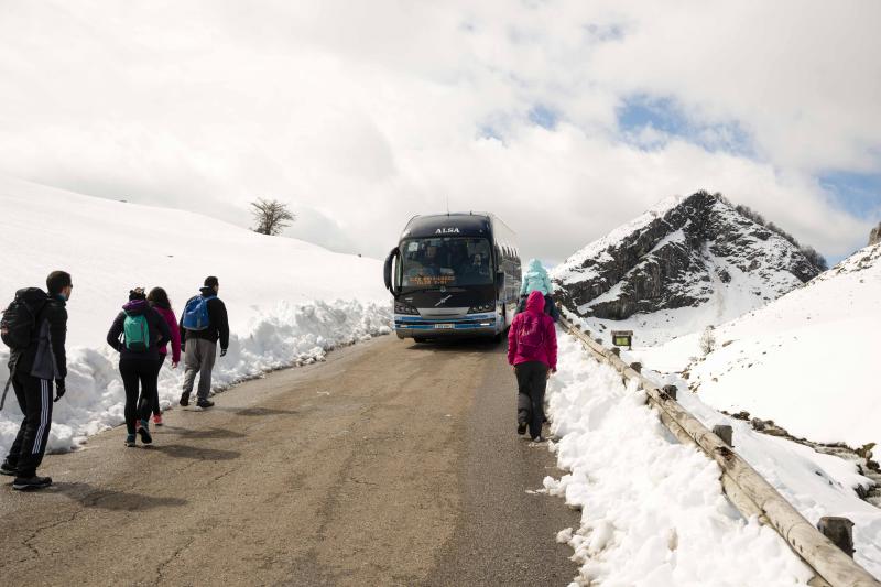 La preciosa estampa que ofrece estos días el paraje protegido atrae a multitud de turistas y provoca colas