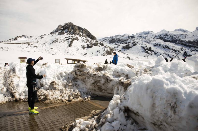 La preciosa estampa que ofrece estos días el paraje protegido atrae a multitud de turistas y provoca colas