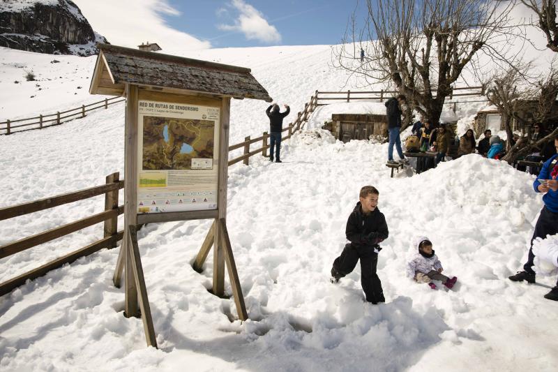 La preciosa estampa que ofrece estos días el paraje protegido atrae a multitud de turistas y provoca colas