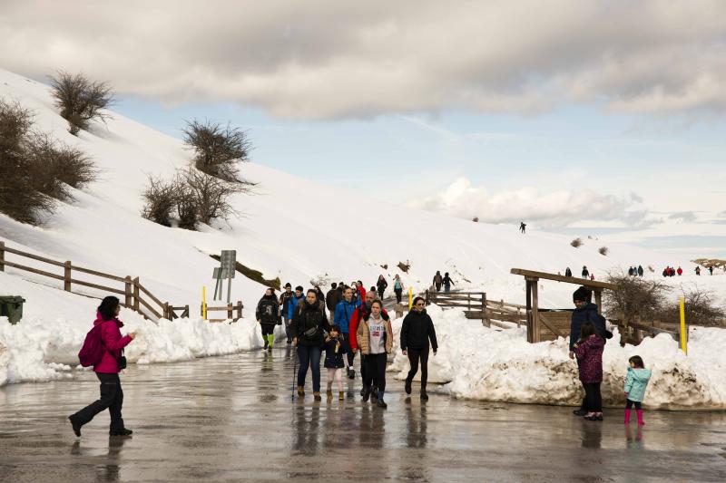 La preciosa estampa que ofrece estos días el paraje protegido atrae a multitud de turistas y provoca colas