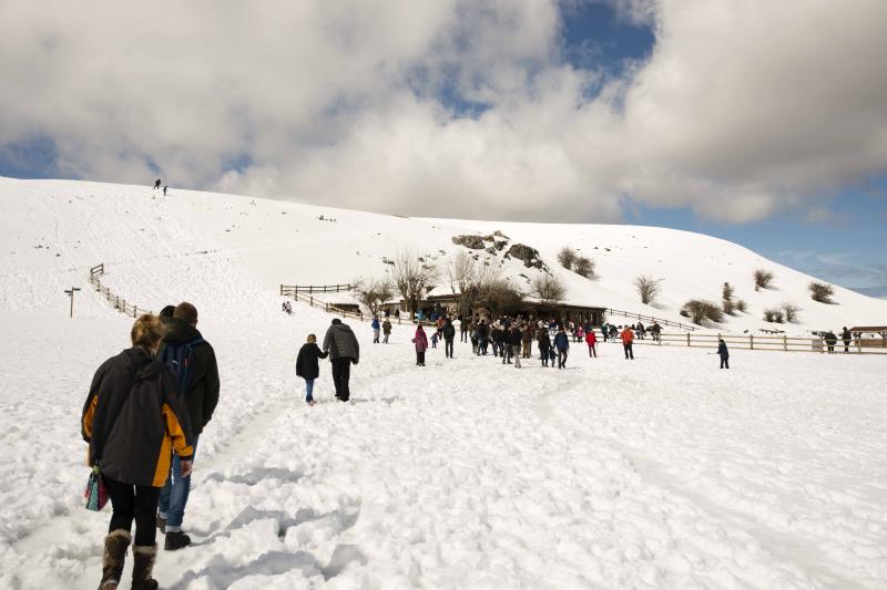 La preciosa estampa que ofrece estos días el paraje protegido atrae a multitud de turistas y provoca colas