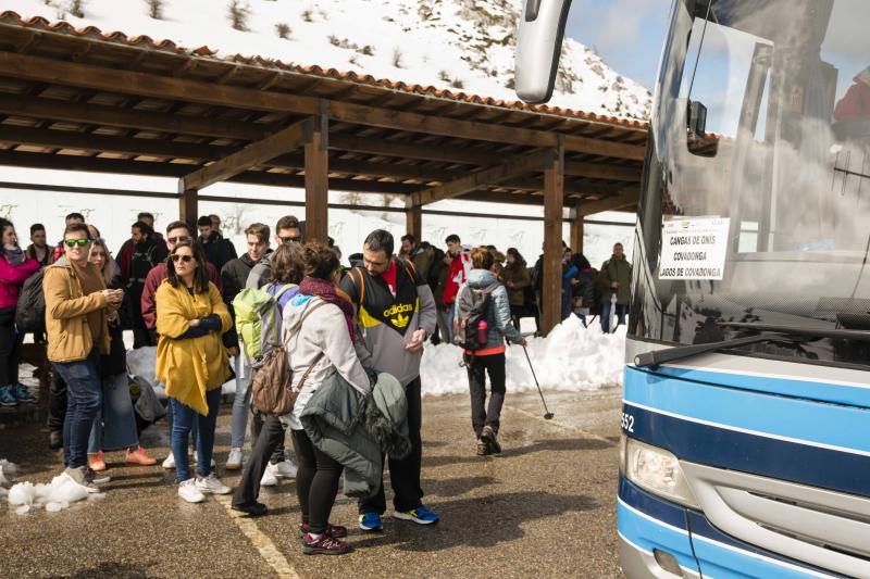 La preciosa estampa que ofrece estos días el paraje protegido atrae a multitud de turistas y provoca colas