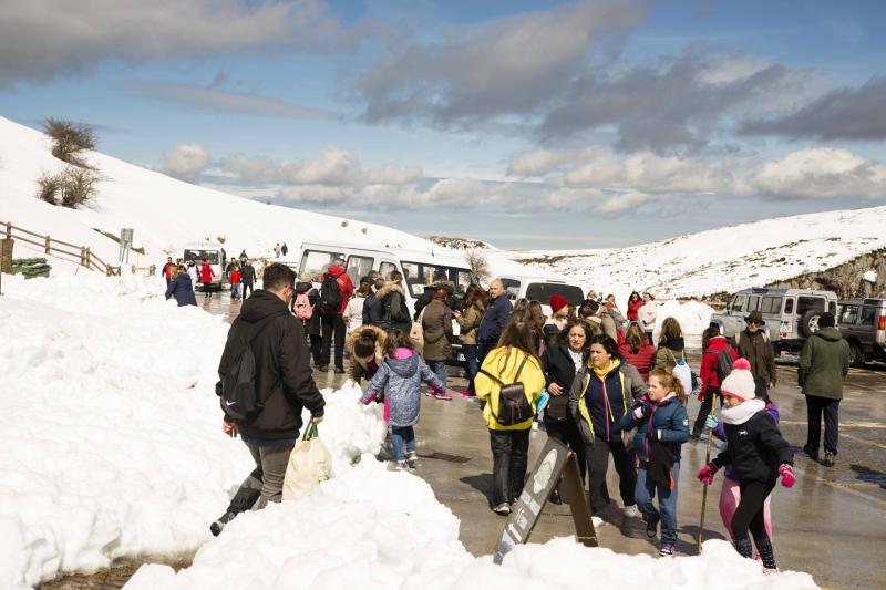 La preciosa estampa que ofrece estos días el paraje protegido atrae a multitud de turistas y provoca colas