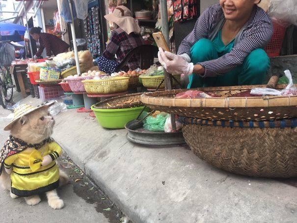 Fotos: Dog, el pescadero más adorable de Vietnam