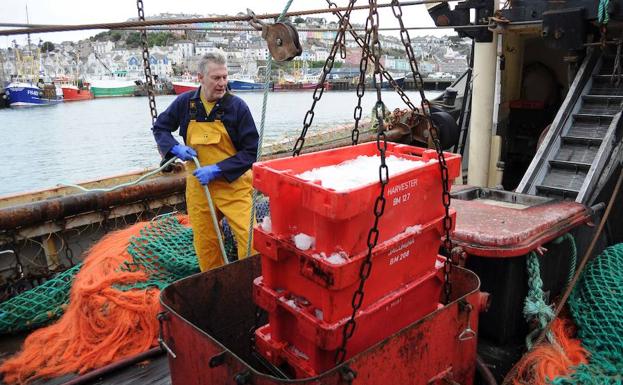 Un pescador trabaja en el puerto de Brixham. 