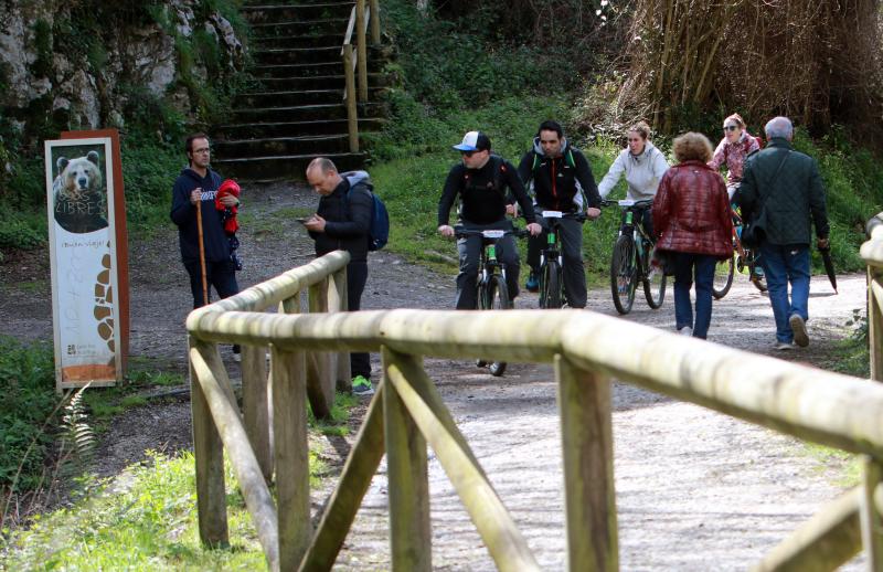 La previsión de mal tiempo no ha desincentivado a los visitantes y Asturias ha alcanzado una elevada tasa de ocupación esta Semana Santa. En los momentos en los que la lluvia ha dado una tregua, los turistas no han dudado en salir a disfrutar de los paisajes y las ciudades del Principado, de Oriente a Occidente. 