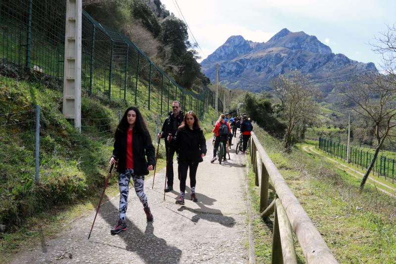 La previsión de mal tiempo no ha desincentivado a los visitantes y Asturias ha alcanzado una elevada tasa de ocupación esta Semana Santa. En los momentos en los que la lluvia ha dado una tregua, los turistas no han dudado en salir a disfrutar de los paisajes y las ciudades del Principado, de Oriente a Occidente. 