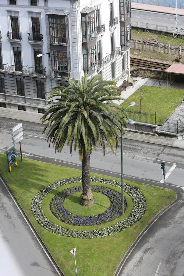 Imágenes tomadas desde los lugares más altos de la ciudad. Sabugo.