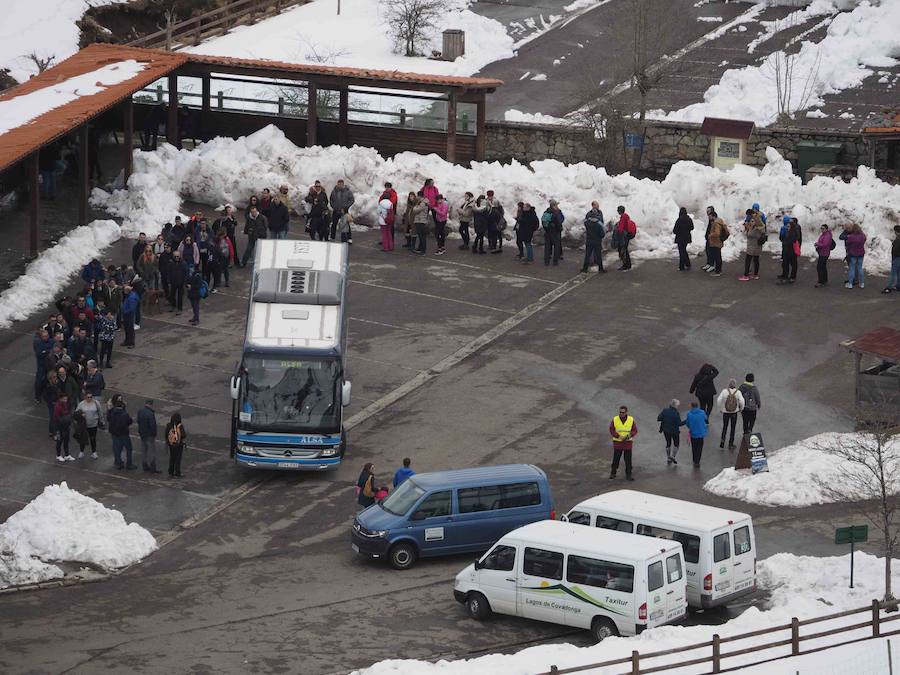 Fotos: Los turistas abarrotan el oriente asturiano