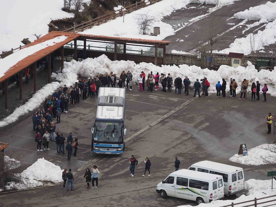 Fotos: Los turistas abarrotan el oriente asturiano