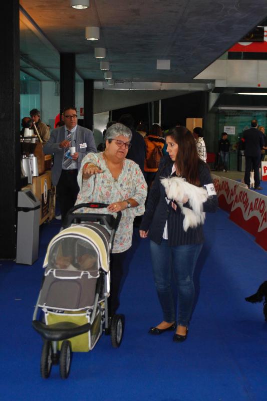 El Salón de la Mascota abre sus puertas en el pabellón de exposiciones de La Magdalena con más de 3.000 perros