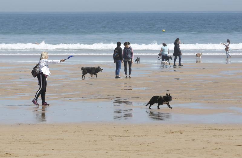 Fotos: Gijón, dispuesto a disfrutar del sol y del calor