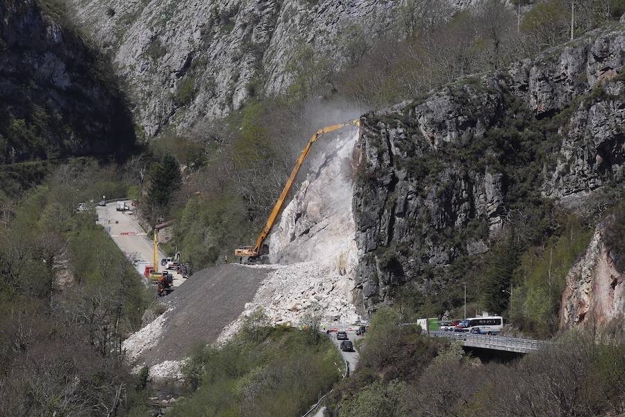 Fotos: Las máquinas trabajan para retirar el argayu de Caso