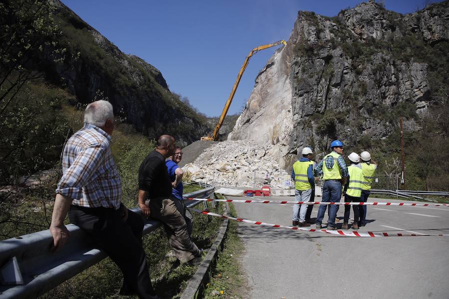 Fotos: Las máquinas trabajan para retirar el argayu de Caso