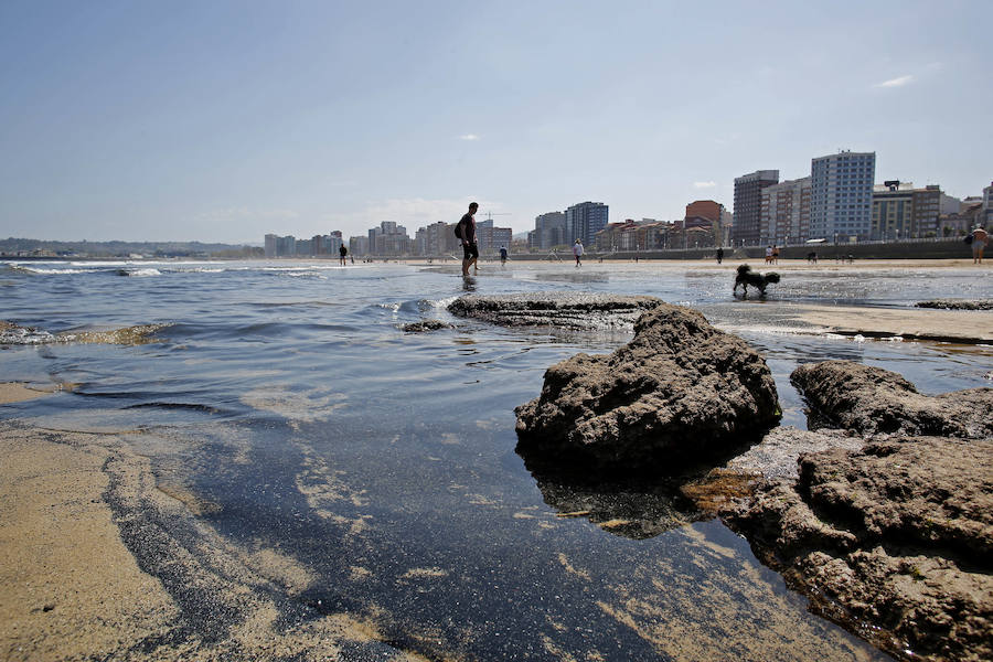 La mancha oscura ha aparecido de nuevo junto al 'pedreru' de San Pedro y se prolonga hasta la escalera número 2 del arenal gijonés