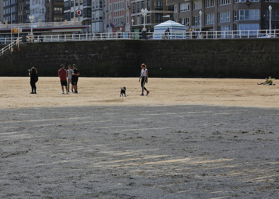 La mancha oscura ha aparecido de nuevo junto al 'pedreru' de San Pedro y se prolonga hasta la escalera número 2 del arenal gijonés