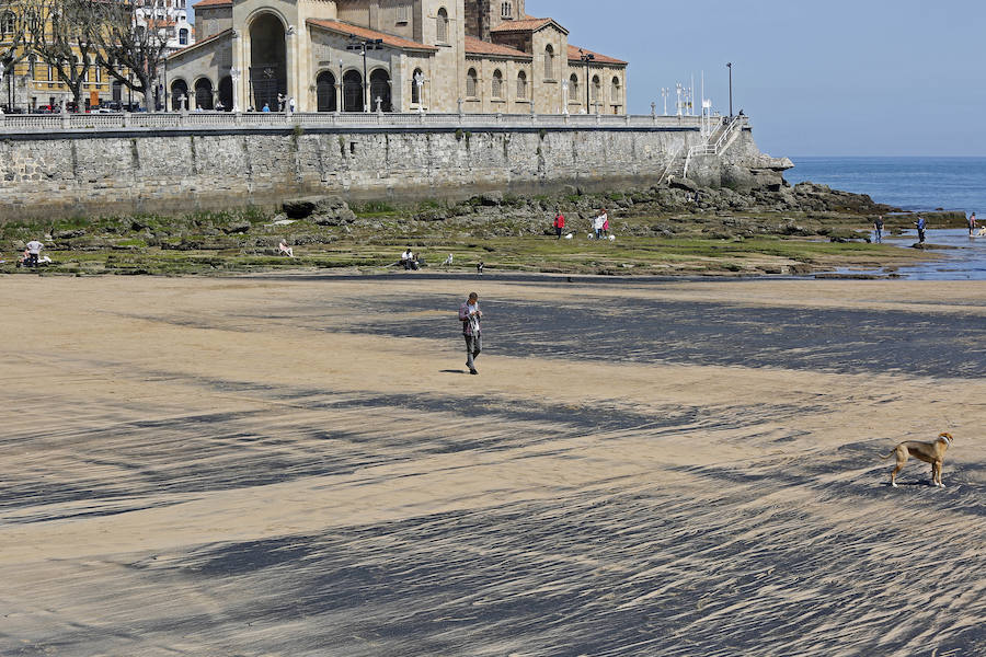 La mancha oscura ha aparecido de nuevo junto al 'pedreru' de San Pedro y se prolonga hasta la escalera número 2 del arenal gijonés