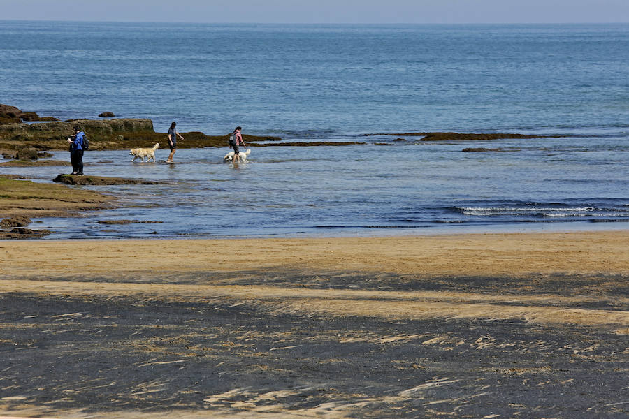 La mancha oscura ha aparecido de nuevo junto al 'pedreru' de San Pedro y se prolonga hasta la escalera número 2 del arenal gijonés