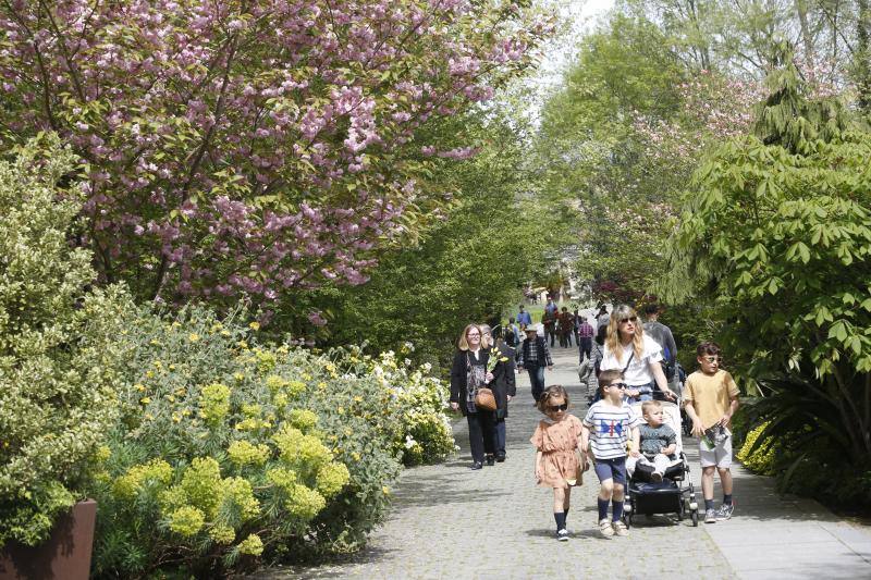 El jardín gijonés celebra su decimoquinto aniversario con una jornada de puertas abiertas repleta de visitantes.